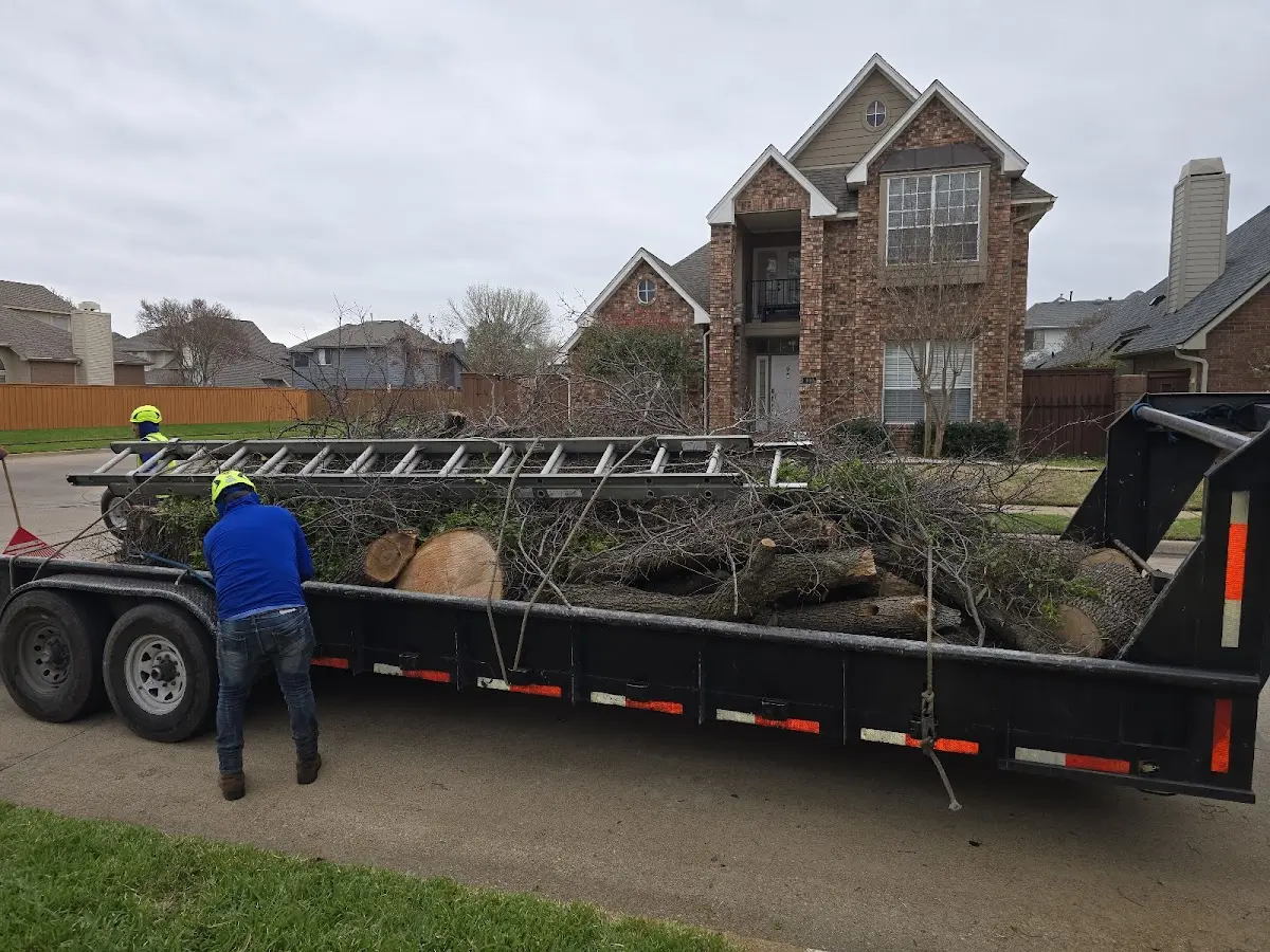 Expert Lot Clearing with proper safety equipment in Edna